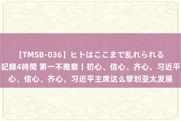 【TMSB-036】ヒトはここまで乱れられる 理性崩壊と豪快絶頂の記録4時間 第一不雅察丨初心、信心、齐心，习近平主席这么擘划亚太发展