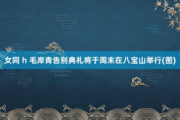 女同 h 毛岸青告别典礼将于周末在八宝山举行(图)